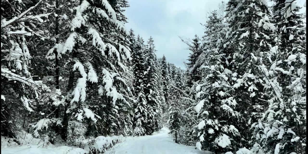 Private House Scherbovets Szarvasháza Kültér fotó